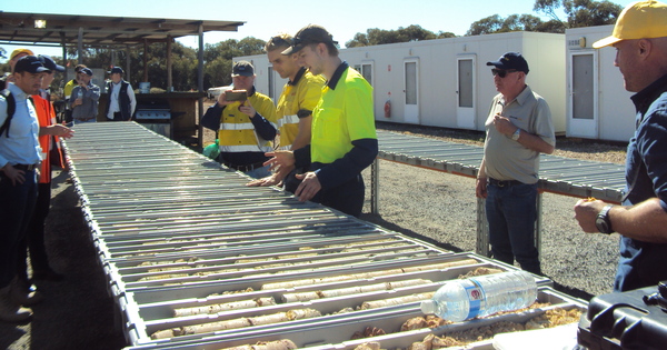 Goyder and McFadyen outline plans for mid-tier gold momentum