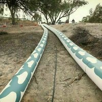 How a new 'Fishheart' project is combining science, community and Indigenous art to restore life in the Baaka-Darling River