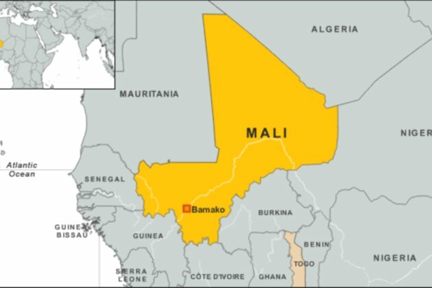 WHO Doctor Freed in Mali
