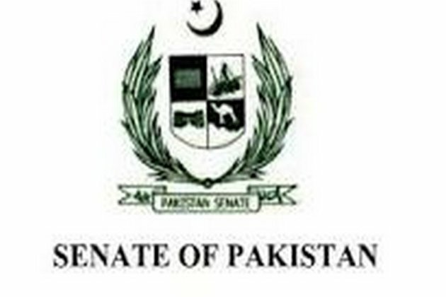 Pakistan Senate questions the legality of CPEC Authority