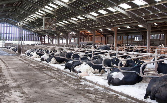 Well-ventilated sheds can help mitigate against iIBR, which can spread through the air
