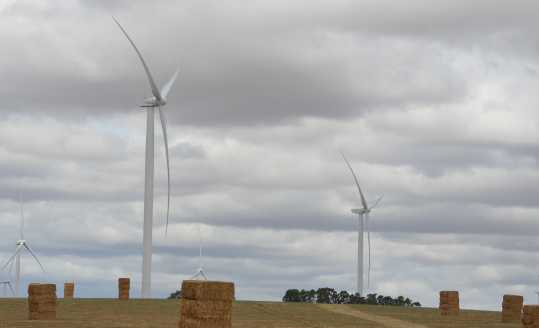 The Nationals party has backed away from the 2050 net zero target.