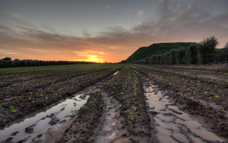 Study: Farmers braced for 'historically poor harvest' following extreme wet winter weather