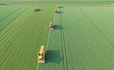 New satellite project hopes to pin-point perfect time for pea harvest 
