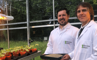 How precision bred hemp could remove more than 1.7 million tonnes of CO2 a year by 2030