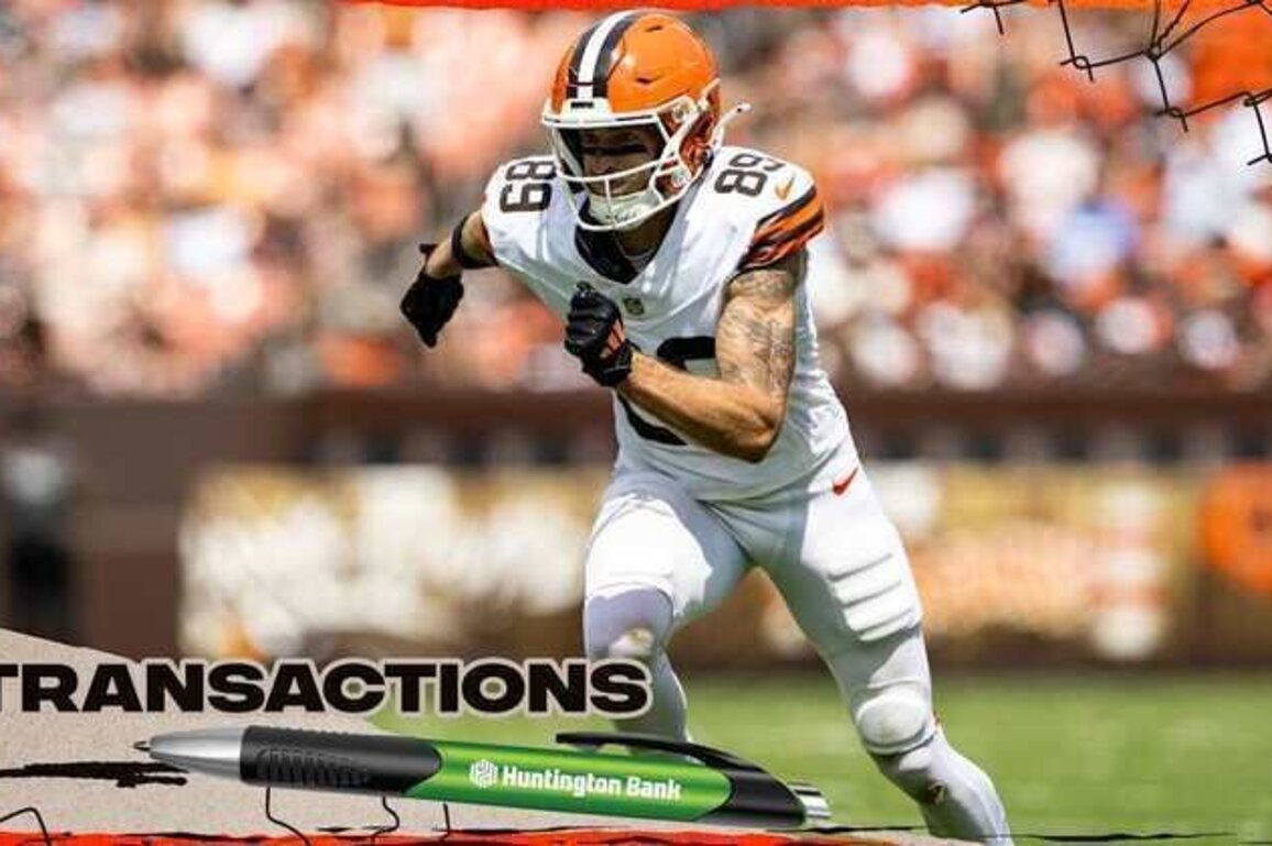 Browns sign WR Kaden Davis to the active roster