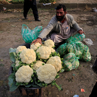 Pakistan's early market shutdown triggers economic tremors