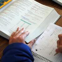 Brown- At 40, Minnesotas PSEO program earns an incomplete