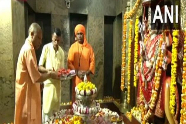 UP: CM Yogi offers prayers at Pateshwari Devi temple, feeds cows at Gaushala in Balrampur