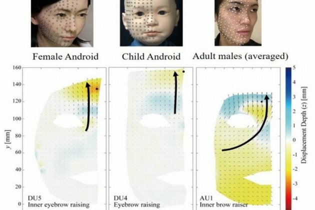 Researchers compare expressions of android and human faces