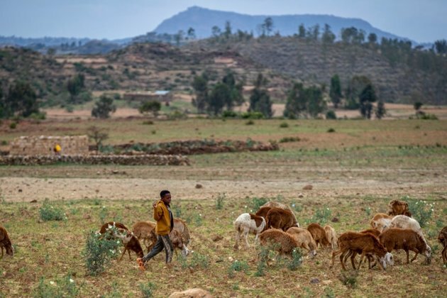 Landmines Add to Drought Woes of Ethiopian Herders