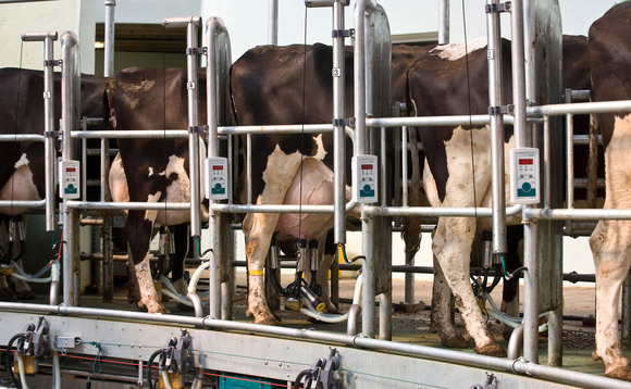 Reduce antimicrobial use through early mastitis detection this summer