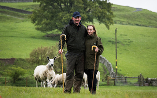Award winning start drives Falnash flock forward