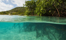  Blue carbon ecosystem at the Great Barrier Reef