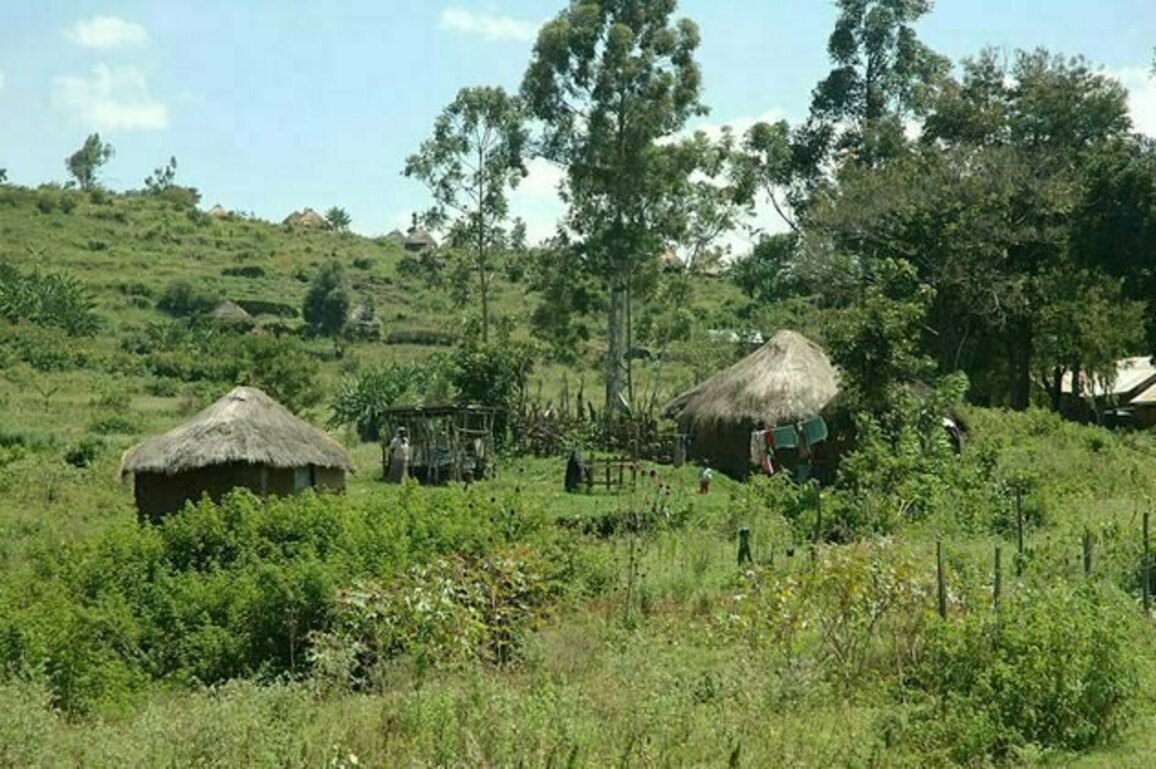 Entrepreneurship as a way out of poverty? Study in rural Kenya shows why it doesn't always work