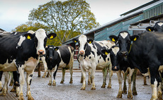 Dairy farmers urged to bang on retailer doors