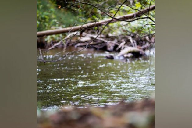 Microplastic sources and hidden sinks can be found in rivers