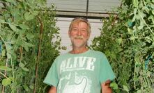 George works magic on giant peas