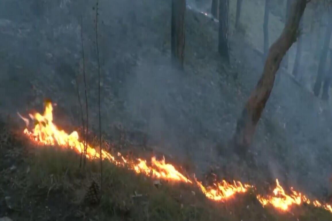 Massive fire breaks out near Shimla's Boileauganj mental hospital; 1,000 sq ft area affected