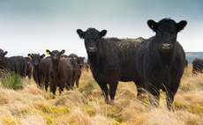 Anger as Scottish farm budget slashed by £33m