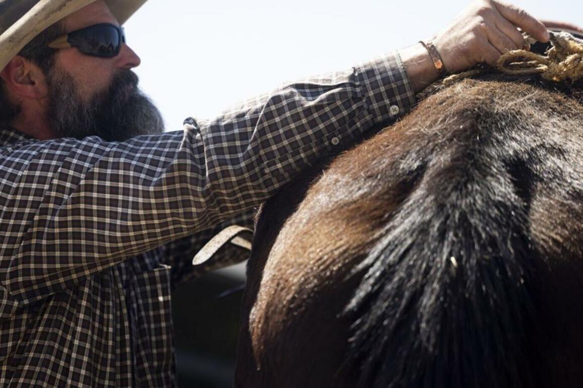 Frenchtown rancher teaches the dying art of horsepacking