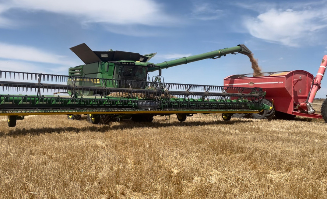 ABARES has forecast a winter crop in excess of 66 million tonnes. 