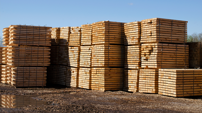 Wood import fluctuations to stabilise in 2024, says TDUK