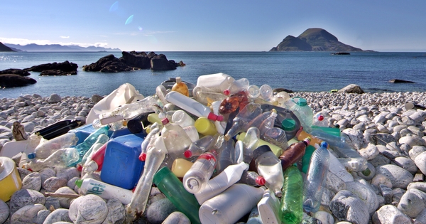 Global NGOs join forces to accelerate campaign to end plastic pollution