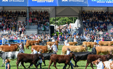 'Bizarre and irrelevant' – Peta criticised for Royal Highland Show livestock parade demands