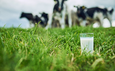 Sainsbury's ringfences £6m for dairy farm pay and sustainability bonuses