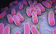 Cathay Capital leads €30m round for Biose