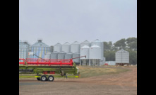  Victorian grain growers can take part in a sentinel program to help biosecurity efforts. Photo Mark Saunders.