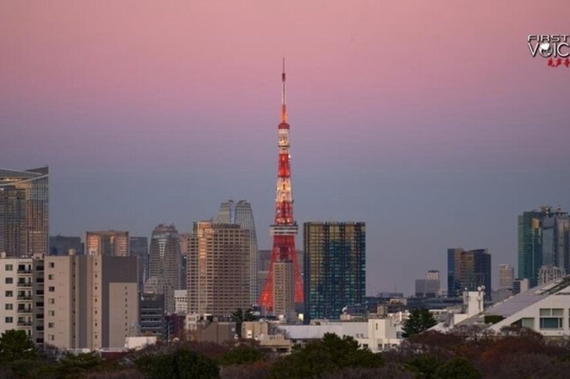 China's export control on Japan justified against remilitarization