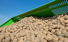 First carbon neutral potatoes produced in Wales