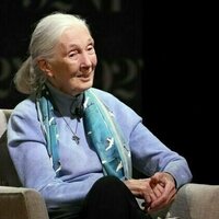 Jane Goodall, the gentle disrupter whose research on chimpanzees redefined what it meant to be human