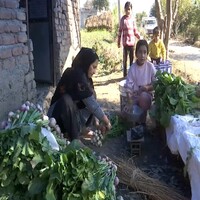 J-K: 50 families adopt organic farming in Rajouri's Mehra village