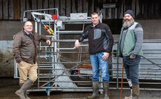 Impressive fertility and feed efficiency drive farm profitability