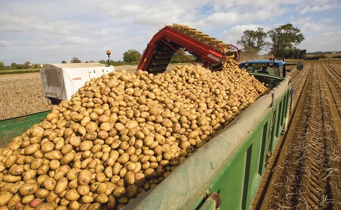 Average potato yields estimated in North-Western Europe