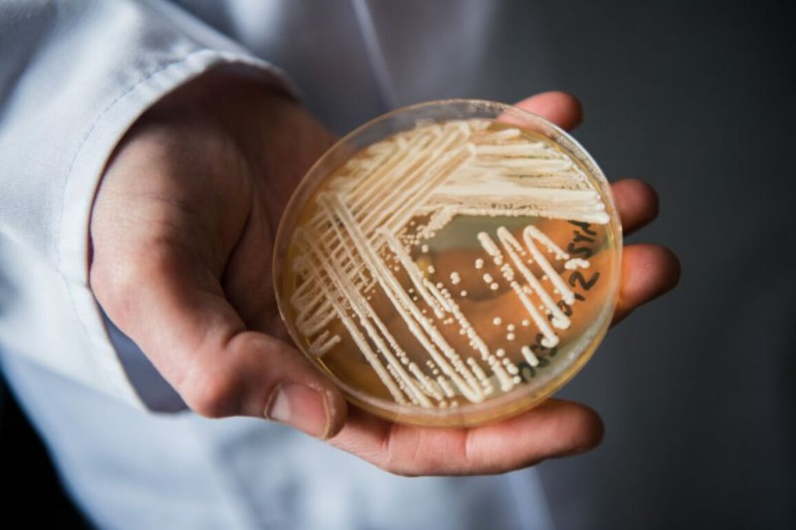 Fungus labeled urgent threat by CDC is spreading rapidly, hospital study finds