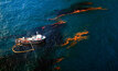 US Gulf states to manage BP spill research program