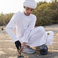 DEWA supports biodiversity, restoration of mangrove forests in cooperation with DECCA