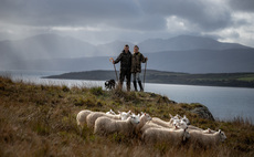 Emma Gray's Farming Life: "The mega storm had blown a sizeable chunk out of our lambing plans"