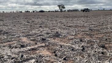 Rainfall last month was appreciated but many south-eastern regions of Australia will still struggle to reach average crop yields.  
