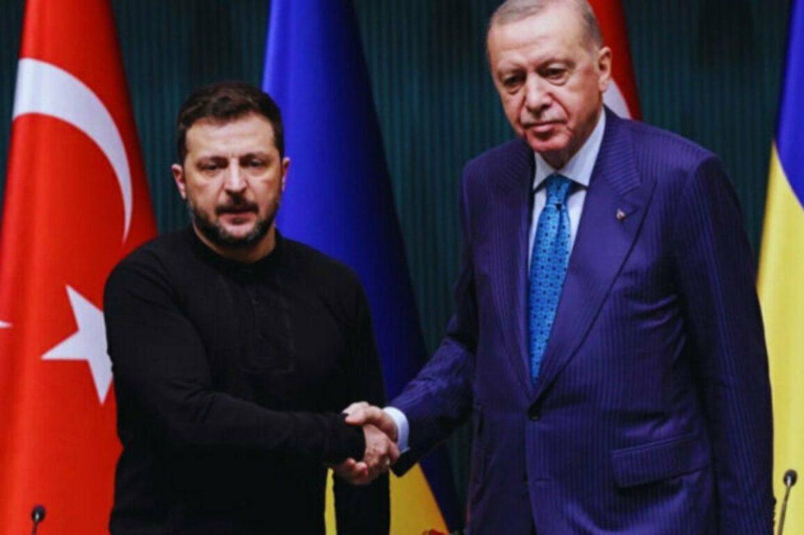 Trkiye Eyes Peacekeeping Mission in Ukraine
