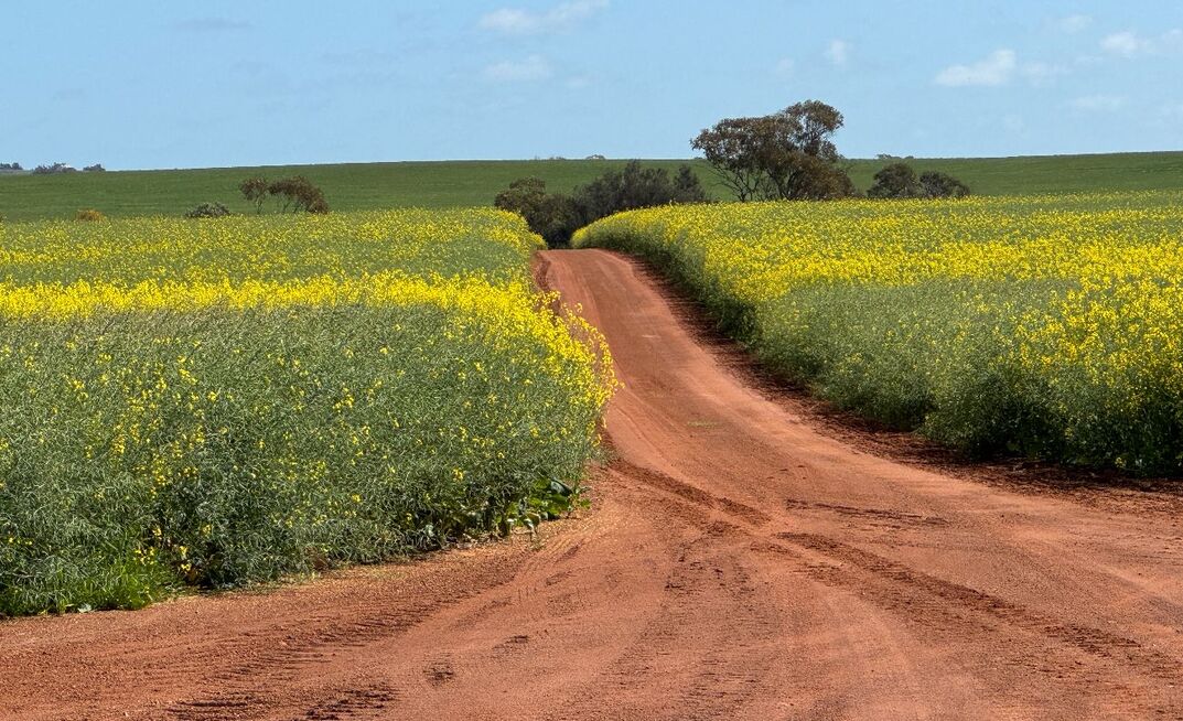$1.1bn investment in Cleaner Fuels Program deemed a golden opportunity for Australian growers.