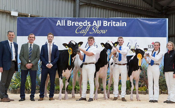 Newbirks herd leads Holsteins at All Britain All Breed Calf show