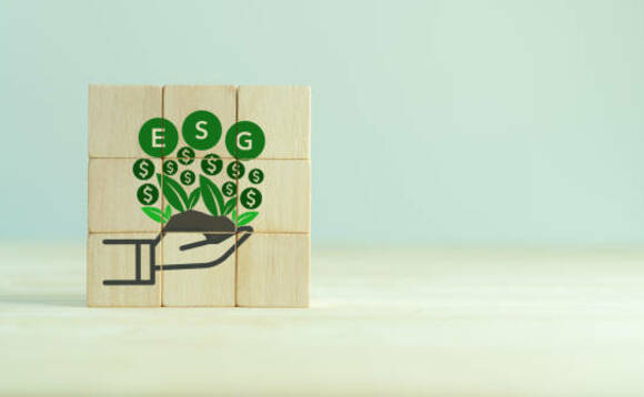 TPR says 'too many' schemes focused on 'minimum' ESG compliance