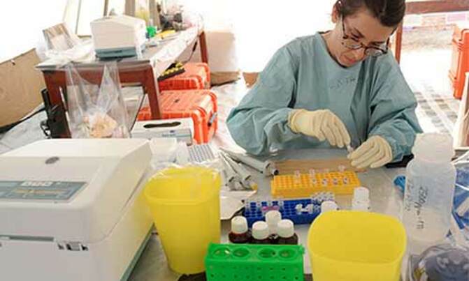S.Leone Ebola doctor dies as W.Africa awaits drugs S.Leone Ebola doctor dies as W.Africa awaits drugs