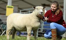 Young farmer focus: Phillipa Gray - "A change in attitudes could mean wool is on the verge of a comeback."