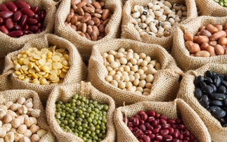 'Join the bean revolution': New campaign calls for switch to more sustainable diets